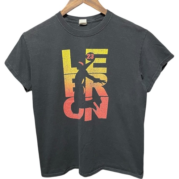 Gildan Other - LeBron James NBA basketball graphic short sleeve heat Lakers Cavaliers T-shirt